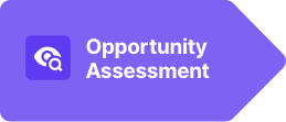 Opportunity assessment